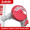 Safety Gate Valve Lock