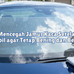 Cara Mencegah Jamur Kaca Setelah Cuci Mobil