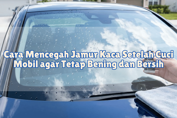 Cara Mencegah Jamur Kaca Setelah Cuci Mobil